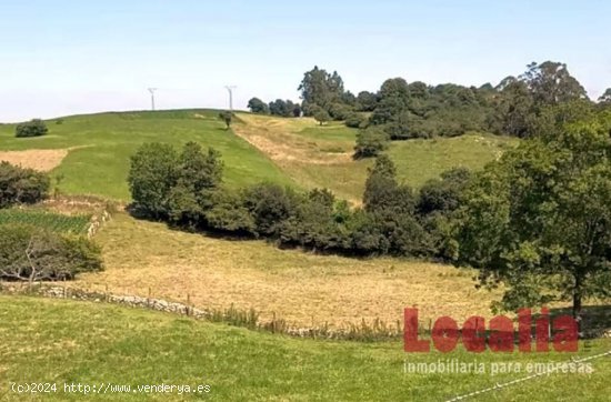 Extensa finca rústica en Lamadrid, Cantabria.