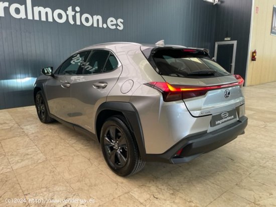 Lexus UX 2.0 250h Business - Villalba