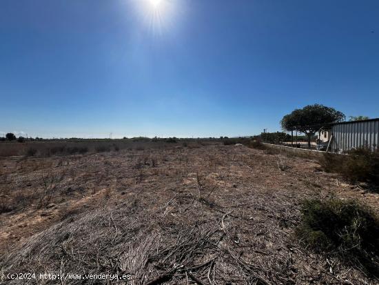 TERRENO EN VENTA EN TORRELLANO - ALICANTE