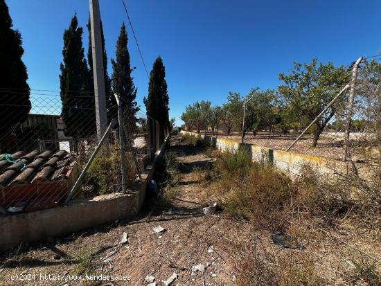 TERRENO EN VENTA EN TORRELLANO - ALICANTE