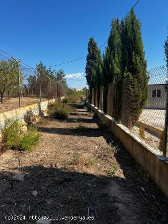 TERRENO EN VENTA EN TORRELLANO - ALICANTE