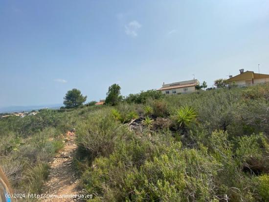 Terreno en venta en Alginet - VALENCIA