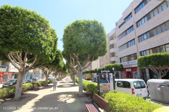 Oficina en Paseo Juan Carlos I de El Ejido - ALMERIA