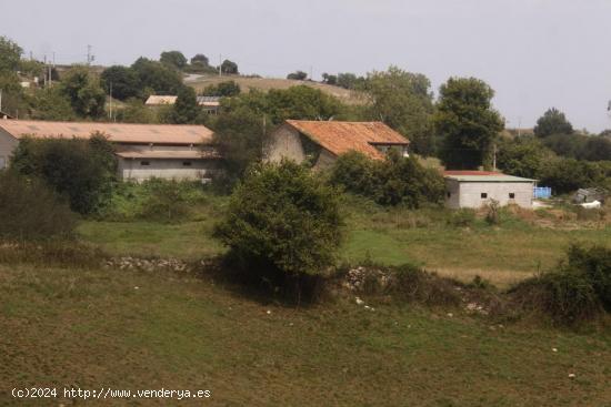 FINCA, CASA NAVE Y CUADRA-LAMADRID - CANTABRIA