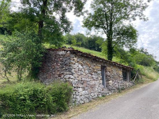 CASA INDEPENDIENTE CON JARDIN EN UDIAS - CANTABRIA