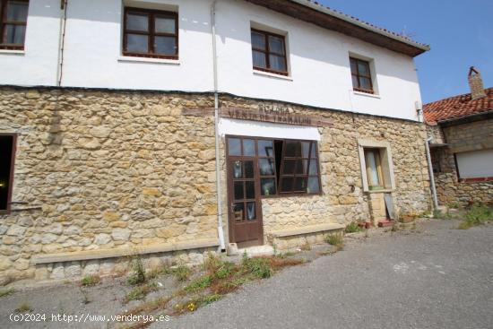 CASA, NEGOCIO Y VARIAS DEPENDENCIAS EN SIERRA (RUILOBA) - CANTABRIA