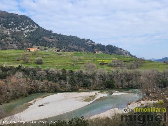 Se vende gran parcela edificable en Narganes, Peñamella Baja - ASTURIAS