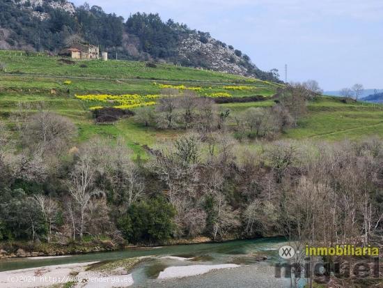 Se vende gran parcela edificable en Narganes, Peñamella Baja - ASTURIAS