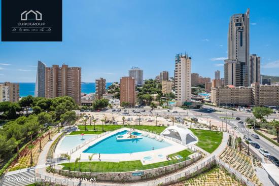 Alquiler de temporada en exclusivo Residencial Benidorm Beach, en playa de Poniente. - ALICANTE