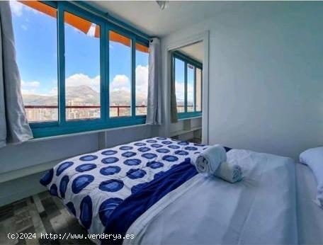 Apartamento con vistas espectaculares a la playa de levante Benidorm! www.euroloix.com - ALICANTE