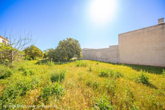 SOLAR EN VILAFRANCA DE BONANY - BALEARES