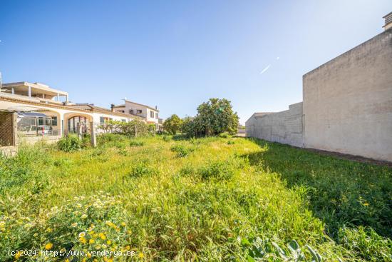 SOLAR EN VILAFRANCA DE BONANY - BALEARES