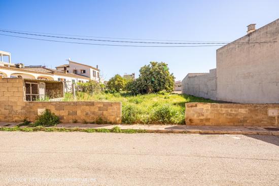 SOLAR EN VILAFRANCA DE BONANY - BALEARES