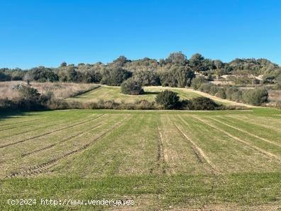 Finca Rústica - BALEARES