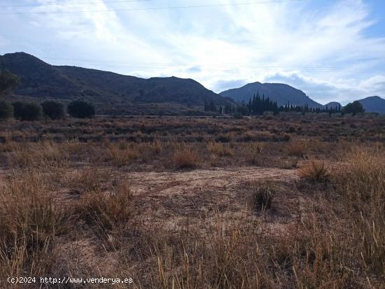 SE VENDE PARCELA URBANA CAÑADA!! - ALICANTE