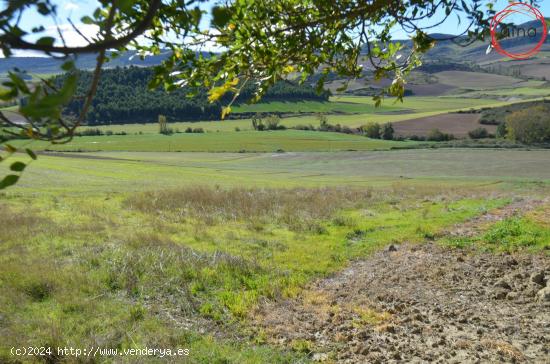  Se Vende en Muru - astrain - NAVARRA 