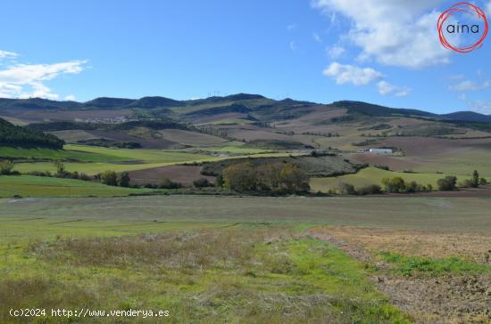 Se Vende en Muru - astrain - NAVARRA