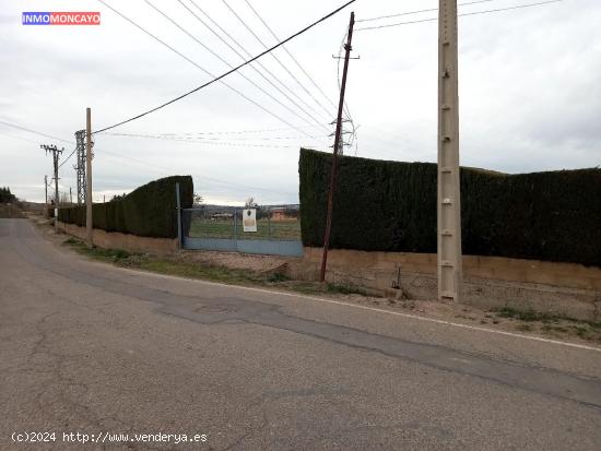 Se vende finca rustica en el Regil - ZARAGOZA