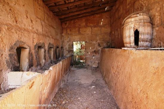 Terreno rural, con pozo propio, idealmente situado entre Campos y Sa Rapita - BALEARES