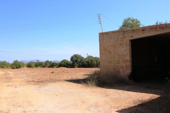 Terreno rural, con pozo propio, idealmente situado entre Campos y Sa Rapita - BALEARES