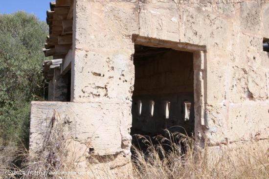 Terreno rural, con pozo propio, idealmente situado entre Campos y Sa Rapita - BALEARES