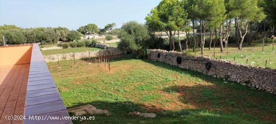 CASA DE CAMPO EN LLUMESANES - BALEARES