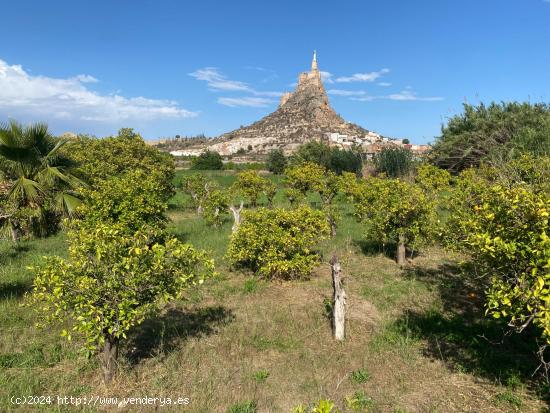 PARCELA RUSTICA CON VISTAS A LOS CASTILLOS - MURCIA