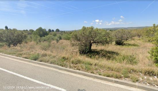 3 Parcelas en carretera para servicios en El Vendrell - TARRAGONA