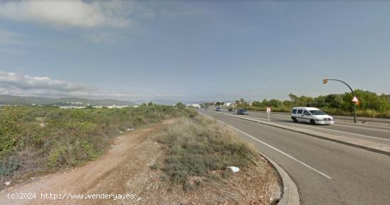 3 Parcelas en carretera para servicios en El Vendrell - TARRAGONA