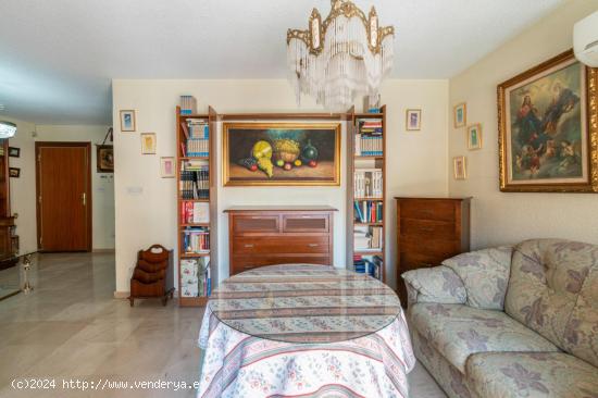 APARTAMENTO EN EL CENTRO DE GRANADA-JUNTO CALLE GANIVET - GRANADA