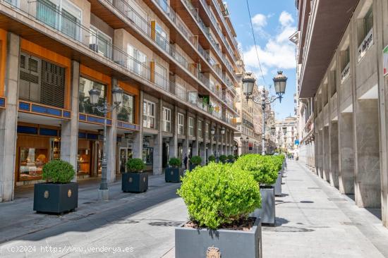 APARTAMENTO EN EL CENTRO DE GRANADA-JUNTO CALLE GANIVET - GRANADA