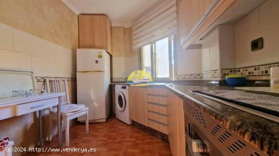 APARTAMENTO EN EL CENTRO. - MURCIA