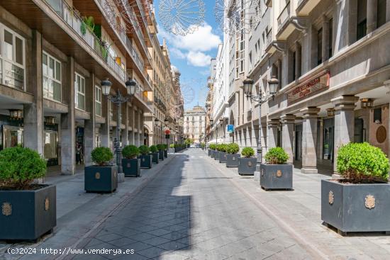 APARTAMENTO EN EL CENTRO DE GRANADA-JUNTO CALLE GANIVET - GRANADA