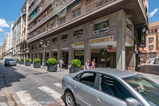 APARTAMENTO EN EL CENTRO DE GRANADA-JUNTO CALLE GANIVET - GRANADA