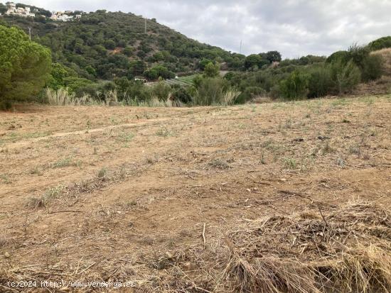 Finca rústica con vista al mar en Pineda de Mar - BARCELONA