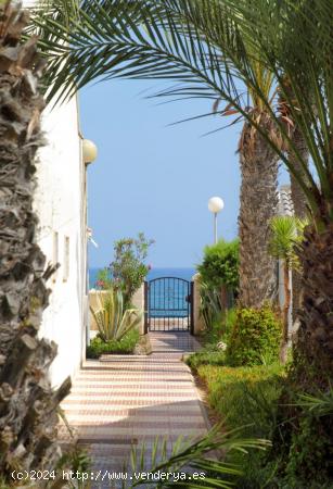  PISO DE 2 DORMITORIOS  EN PRIMERA LINEA DE PLAYA TROPICANA - ALMERIA 