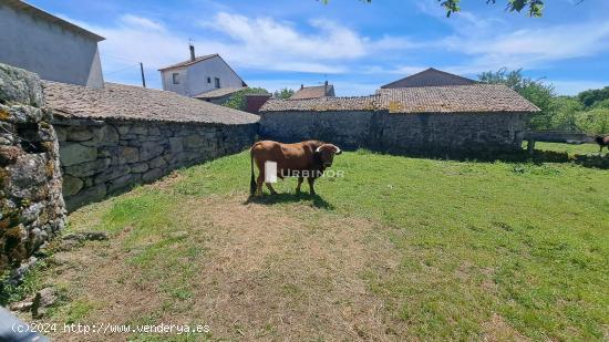  ¡Gran oportunidad! CASA, reformada, Finca pegada. BAÑOS DE MOLGAS. - ORENSE 