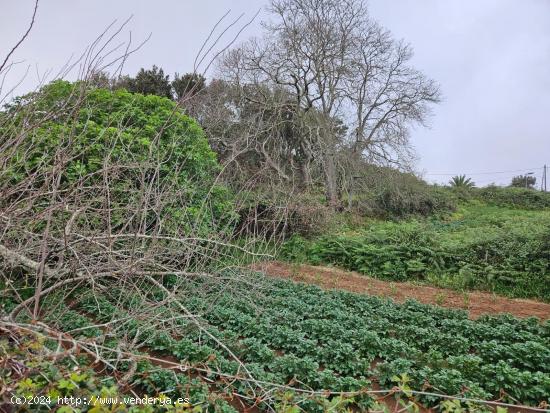 Terreno en Venta en Ravelo - SANTA CRUZ DE TENERIFE