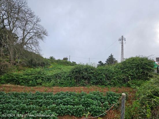 Terreno en Venta en Ravelo - SANTA CRUZ DE TENERIFE