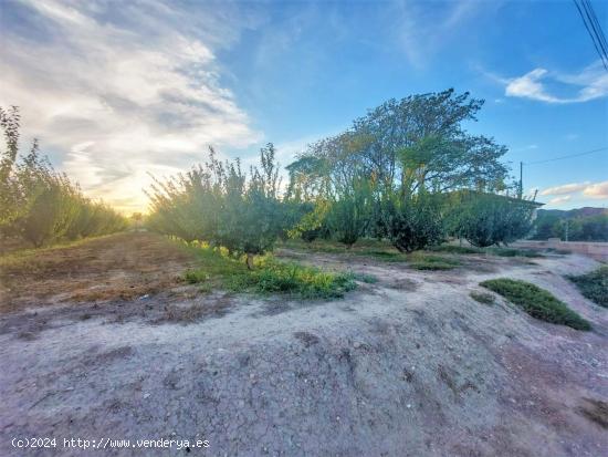 Parcela Junto a la ciudad, en zona del Campillo - MURCIA