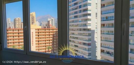 Se Vende en Benidorm - ALICANTE