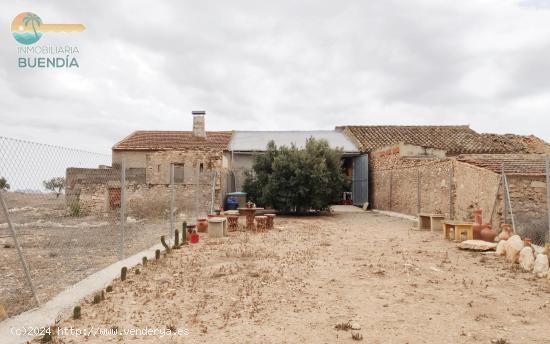 CASA DE CAMPO EN TOTANA CON AMPLIO TERRENO - MURCIA