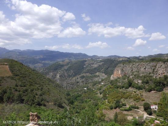 SIERRA DE LAS NIEVES  ALOZAINA-NACIMIENTO JOROX - MALAGA