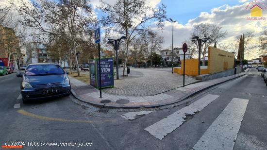 EL PISO DEL ESTUDIANTE. - GRANADA