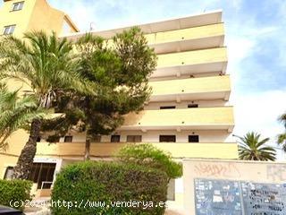 Se Vende en Guardamar del Segura - ALICANTE