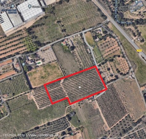  Suelo Urbanizable en venta  en Cambrils - Tarragona 