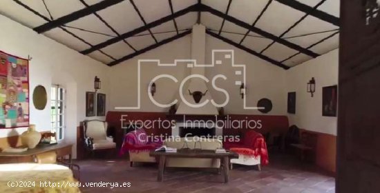  Venta de finca de 50 ha de olivar y tierra calma en Carmona. - La Campiña 