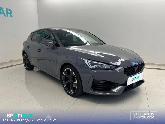 Cupra León  1.5 eTSI 110kW (150CV) DSG - - Ourense