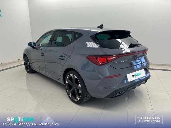 Cupra León  1.5 eTSI 110kW (150CV) DSG - - Ourense