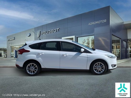 Ford Focus  1.5 TDCi E6 Trend - VITORIA